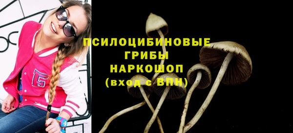 стафф Новозыбков