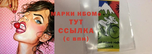 дмт Новодвинск