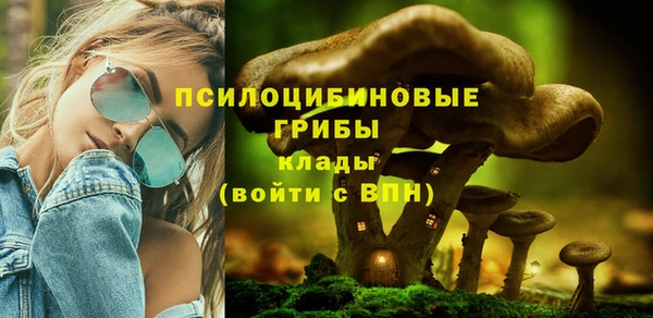 стафф Новозыбков