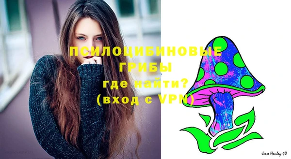 стафф Новозыбков