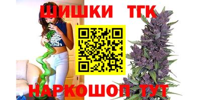 СК Гагарин