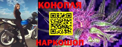 СК Гагарин