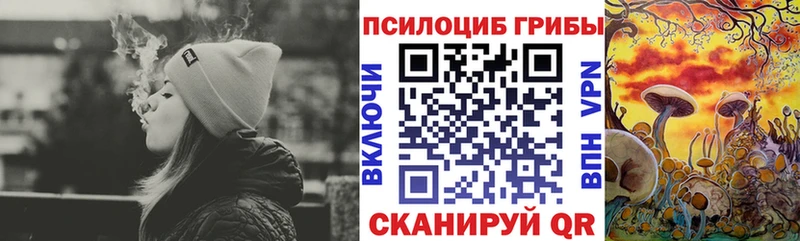 Галлюциногенные грибы GOLDEN TEACHER  Чистополь 