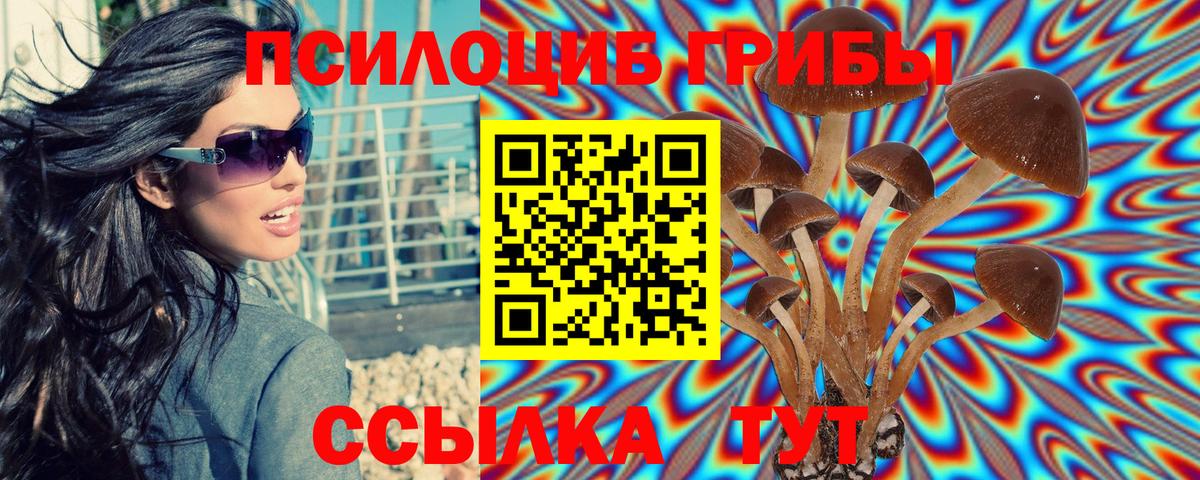 Галлюциногенные грибы GOLDEN TEACHER Чистополь