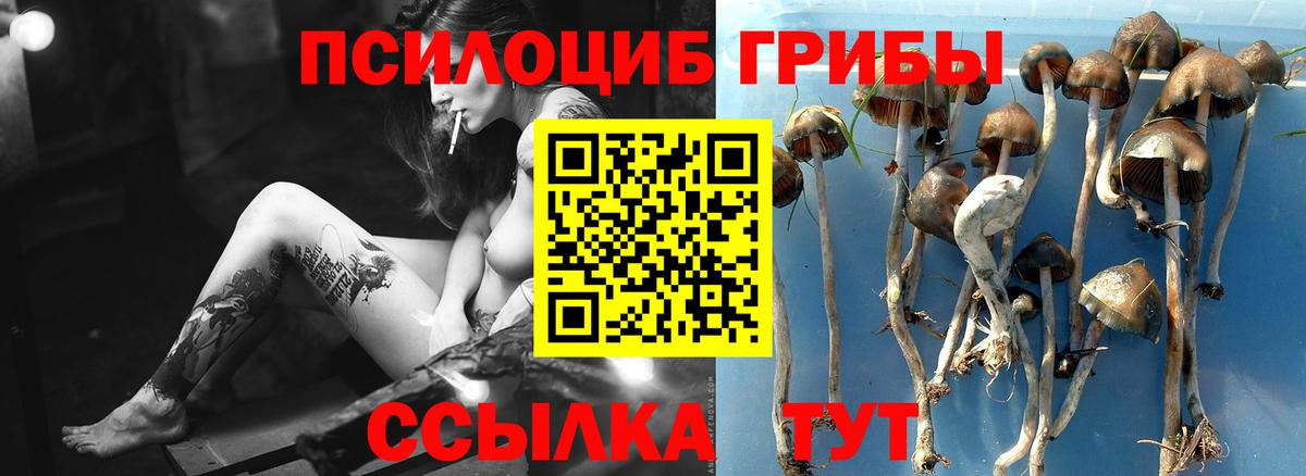 Метамфетамин Чистополь